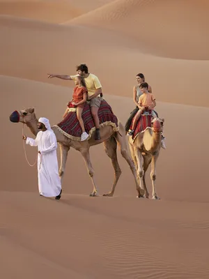 Abu Dhabi Holidays All Inclusive 2025/26 from £872pp