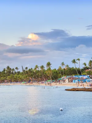 Dominican Republic Holidays 2025/26 All Inclusive from £1,000