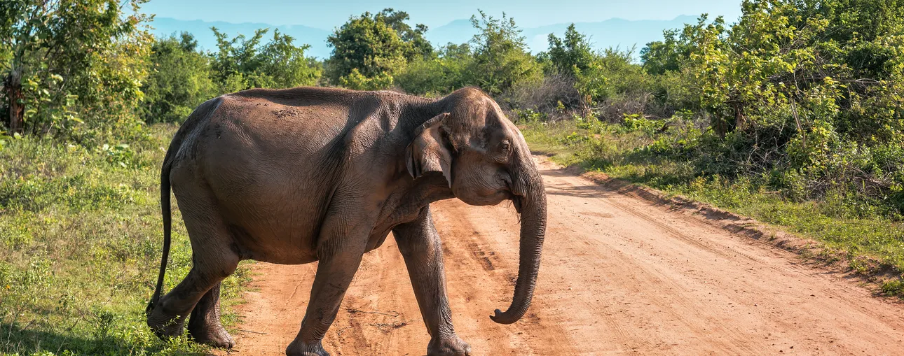 Mozambique