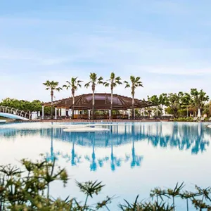 Lara Barut Collection image